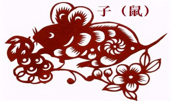 辛亥日属什么生肖，揭秘背后的文化寓意