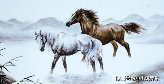 古来万事贵天生打一正确生肖，积极解释落实