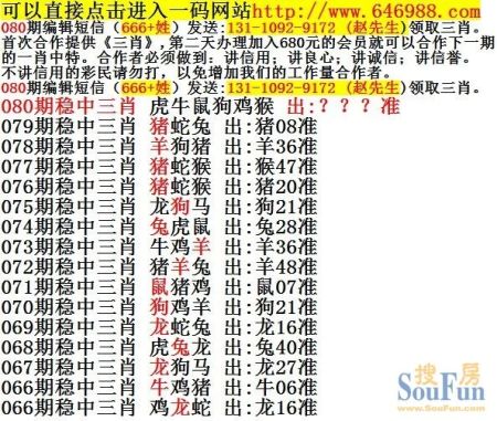 最笨生肖中特，结论作答落实解释