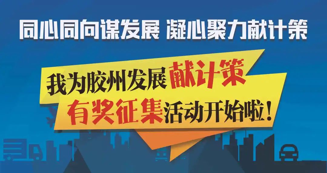 葵花是什么生肖，积极解释与落实的转变