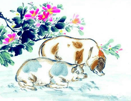 丰衣足食打一生肖，团结解释落实