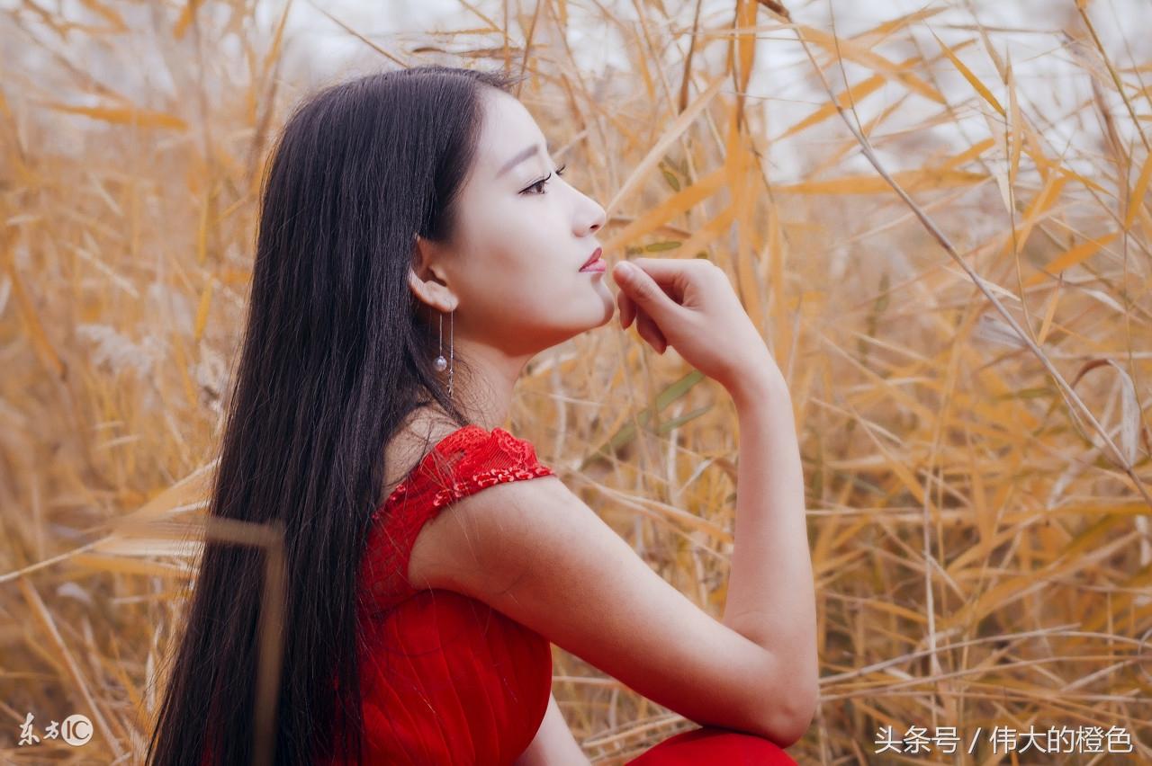 福大命大的生肖，生肖牛的坚韧与智慧