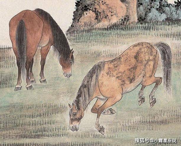 坎坷之路，共绘友爱—探寻坎坷不平中最佳生肖的奥秘