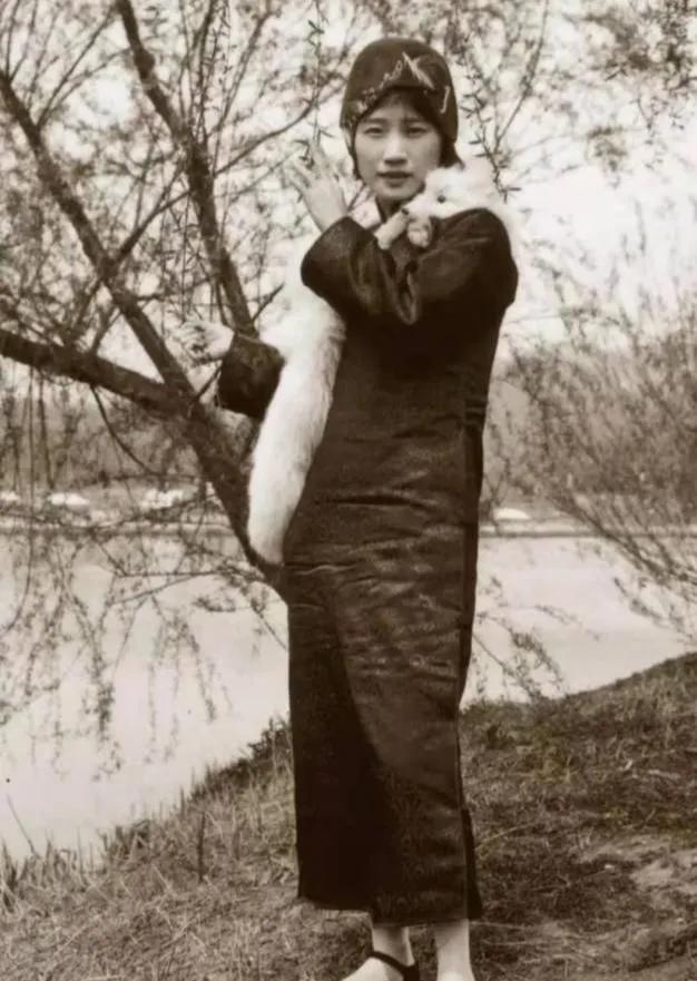 恨不相逢未嫁时，生肖之谜的现代热议与文化解读