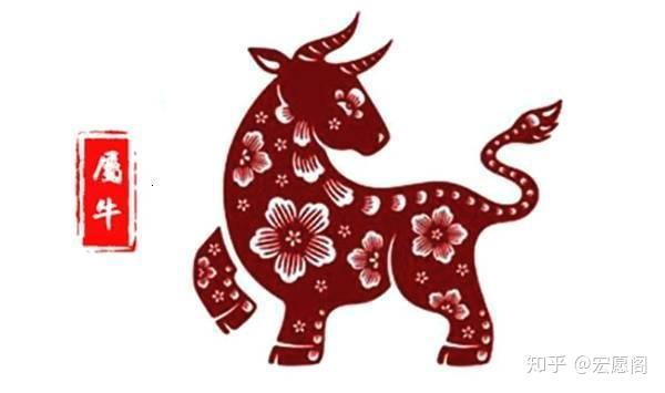 南方生肖，深度解析与文化寓意