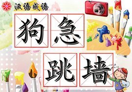 黎民百姓猜一生肖，深度解析与智慧思考