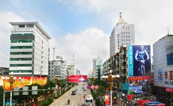 不学无术的生肖，揭秘背后的文化寓意