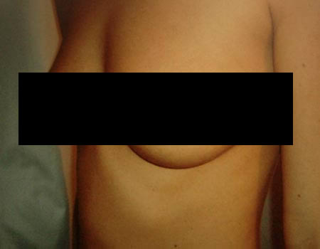 动物智慧与战略运用，全局在胸的奇妙世界