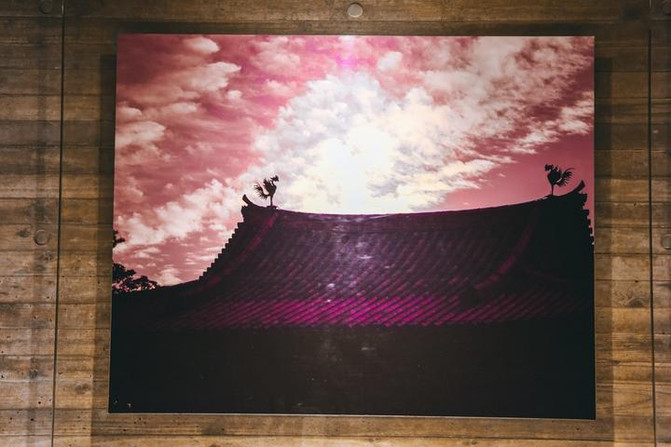 十万火急的生肖，探寻与解释的深度之旅