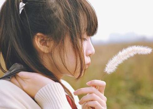 手到擒来是猜一生肖，的故事与寓意