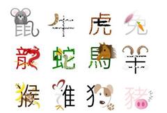 今日相冲生肖是什么，精选解析与落实的详细结果