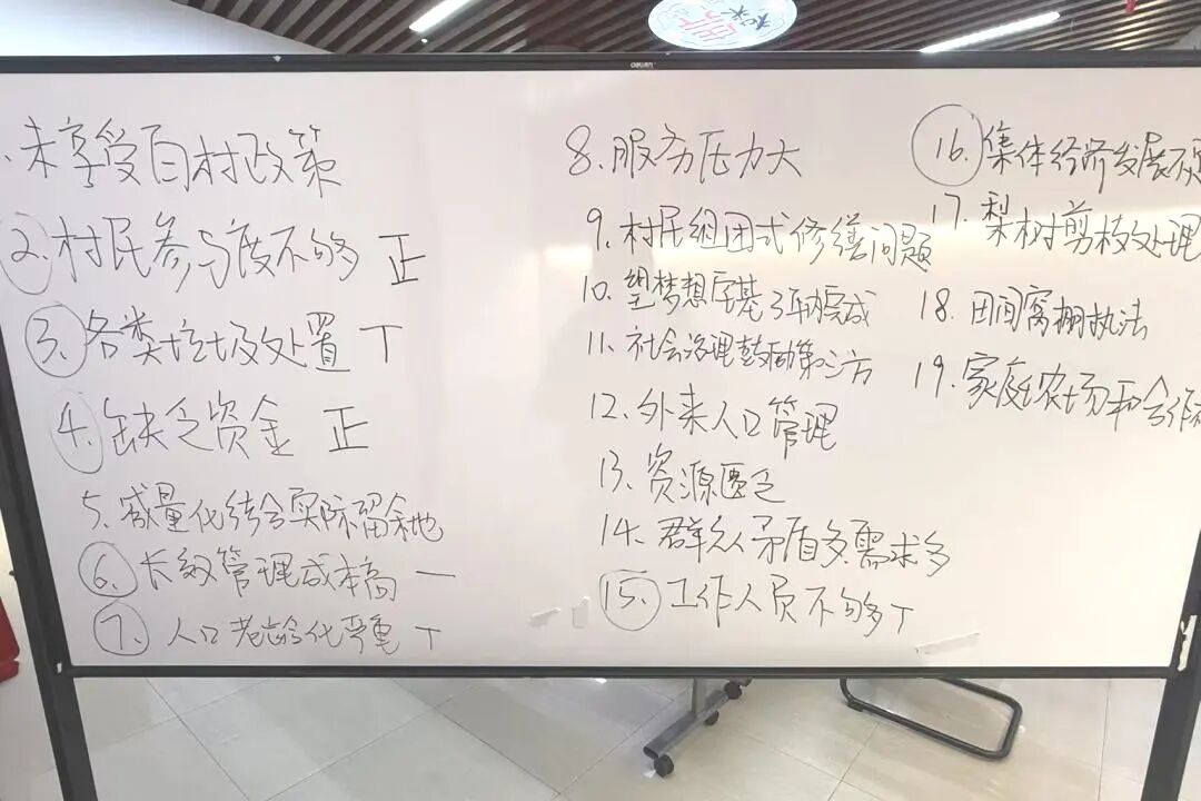 黑色的动物是什么生肖，友爱作答落实解释