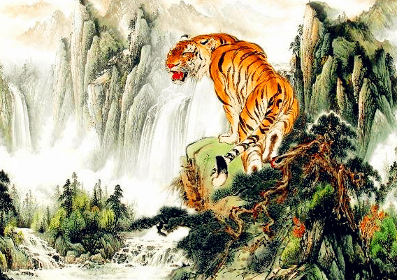 盘居山林修内功，揭秘生肖中的隐士—虎