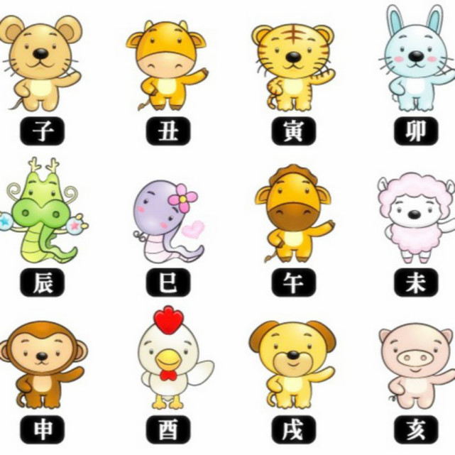 十二生肖水肖之谜，谜底即将揭晓