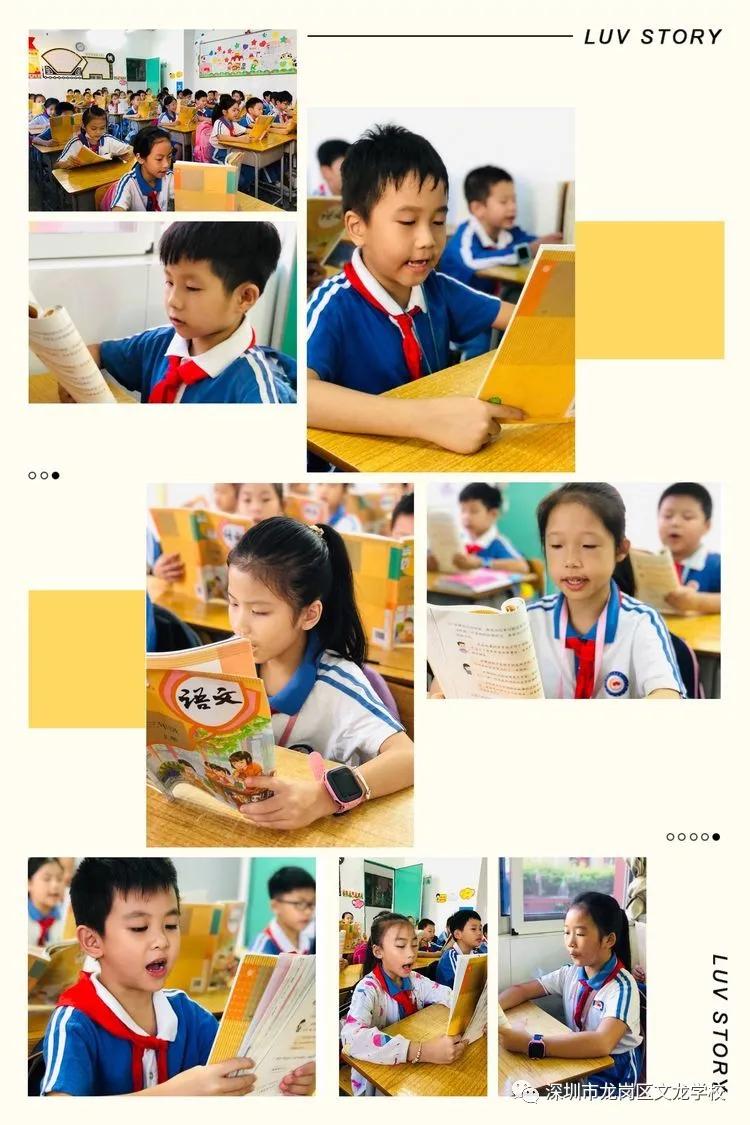 招降纳叛打一正确生肖,绝佳解释落实 招降纳叛打一正确生肖,绝佳解释落实