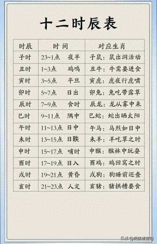十二生肖对应十二时辰，热议作答落实解释