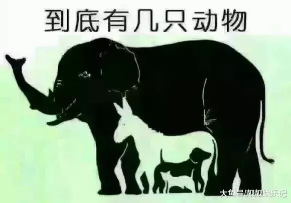 隔墙有耳，猜一动物—新型作答与落实解释