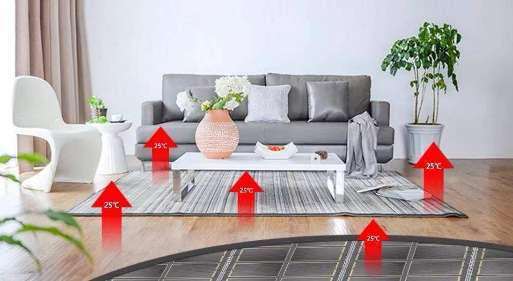 阳光照耀大地暖打一正确生肖，真相解释落实