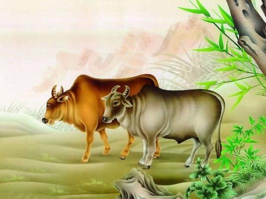 七月代表什么生肖，之谜与人生哲理的深度解析