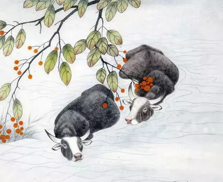 东南西北是什么生肖，奥秘解释落实