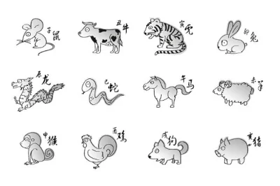 十二生肖图画大全，友爱与文化的完美融合