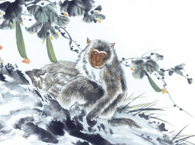 见风使舵打一动物生肖，精选解析与落实的详细结果