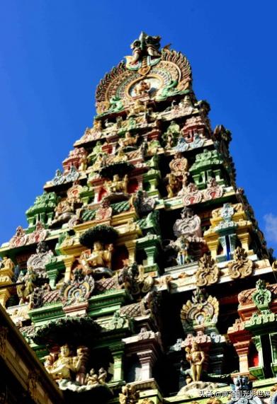 神秘寓言，三头六臂背后的动物谜团与文化解析