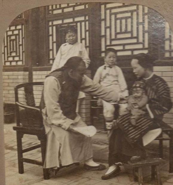 朝肖之谜，揭秘积极解释落实的生肖力量