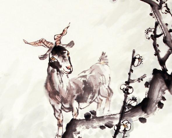 问羊知马，生肖之谜的真相揭秘