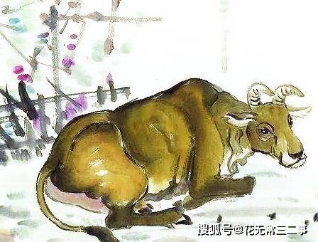 艳阳高照是指什么生肖?绝佳作答落实解释