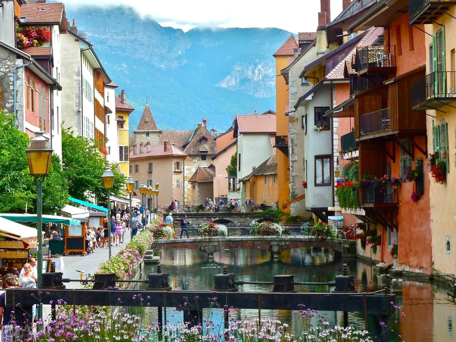 千晨之行是什么生肖，全面揭晓解释落实