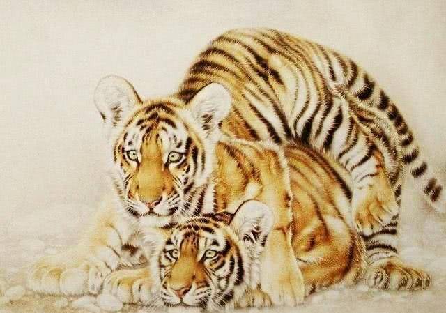 出奇制胜猜一生肖，正确解释与落实