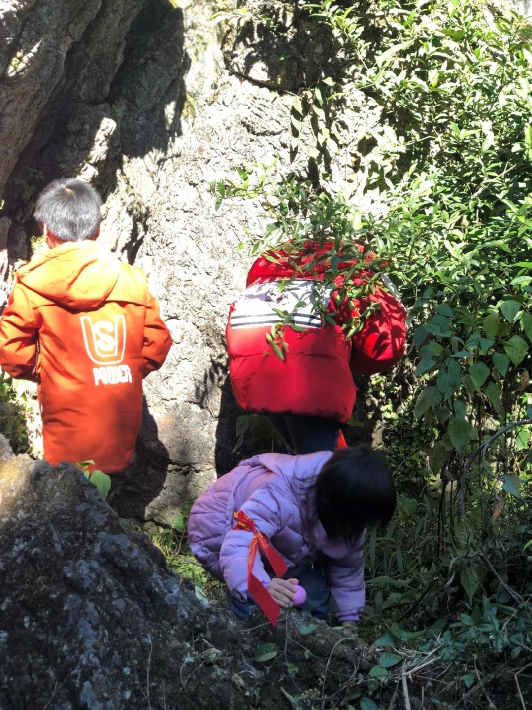 谜语探秘，匕鬯不惊猜一生肖