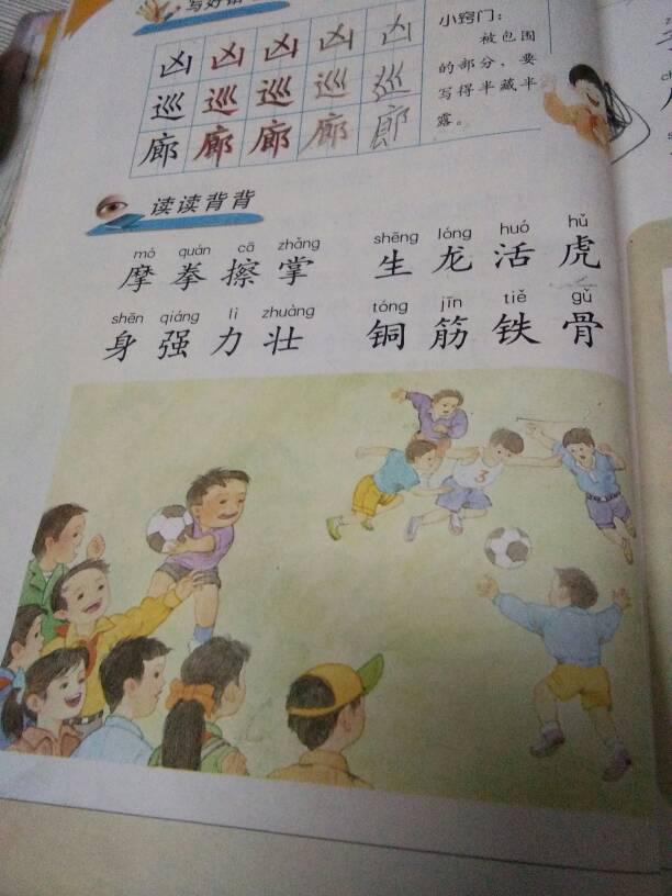 身强力壮是指什么生肖，解析作答落实解释