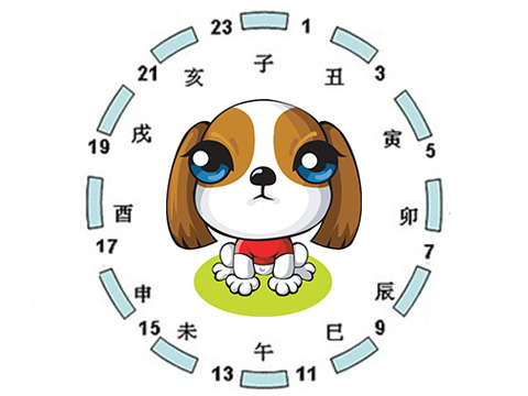 戌时属什么生肖，的动物智慧与战略运用