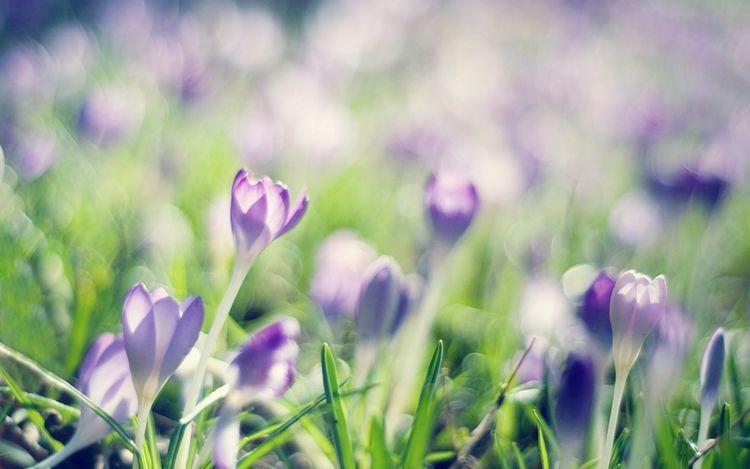 不安本分是指什么生肖，落实相信的解释