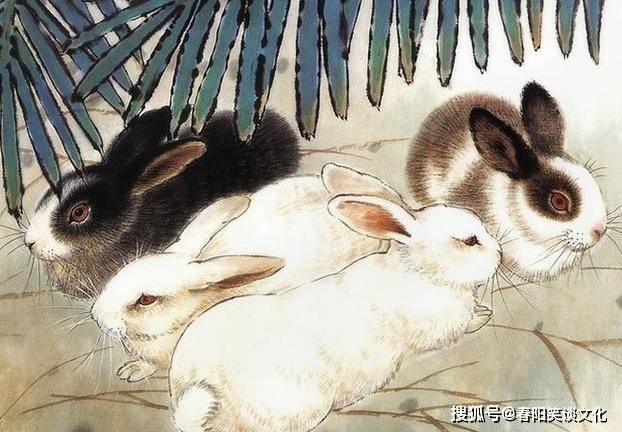 探秘有情有义，揭秘哪个生肖最显深情厚谊