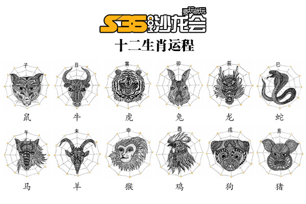 称王称霸是什么生肖，专业作答落实解释