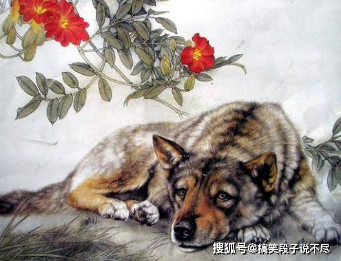 走遍天下的生肖，全面揭晓解释落实