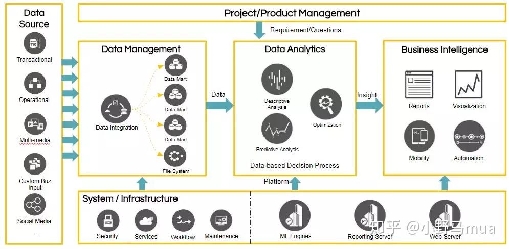生肖马与马相配，全面揭晓与科学解析