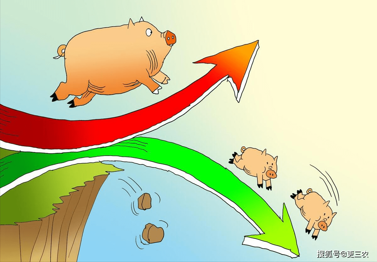 挖空心思，谜底揭晓，时代解释与落实的猪趣横生