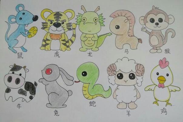 十二生肖图画大全，友爱与文化的完美融合