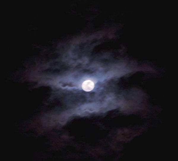 月黑风高是什么生肖，通常解释落实