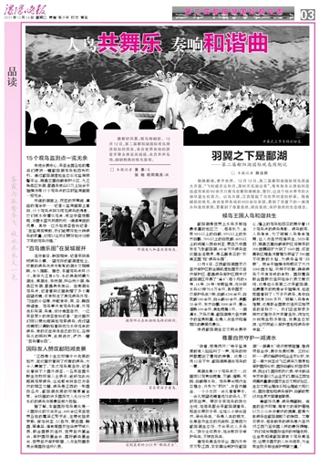 锦绣前程什么生肖，解释与落实的和谐共舞