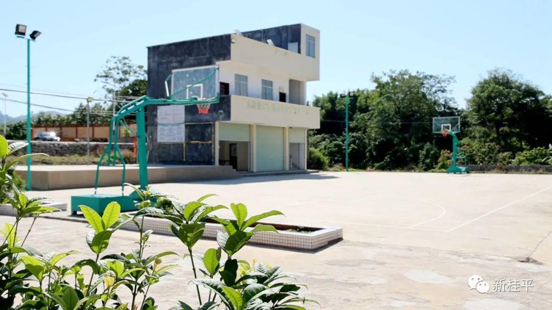 生肖猪今年运势，非凡解释与落实