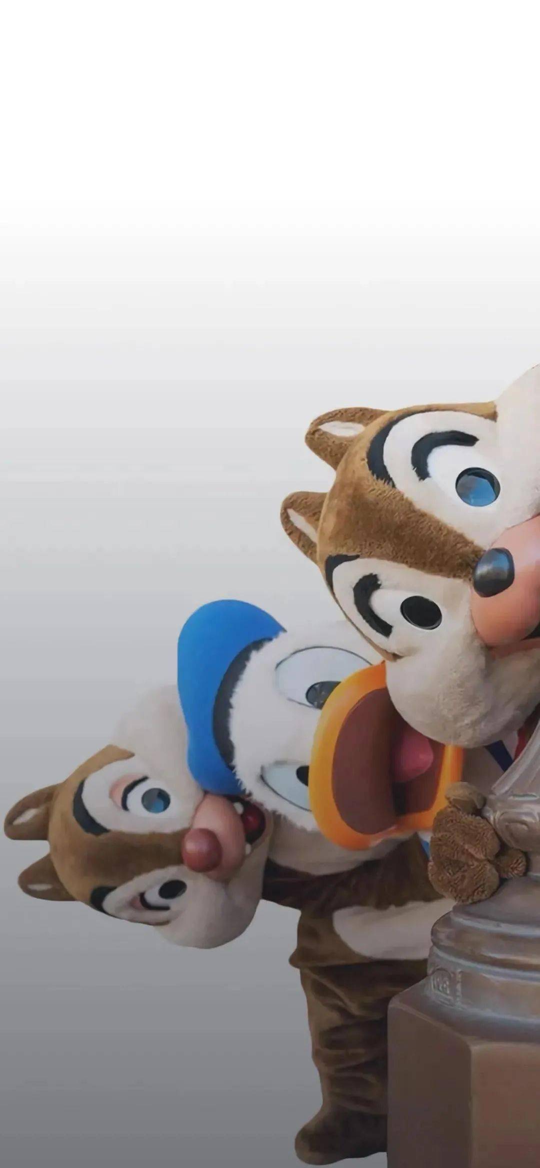 逢场作戏猜一动物，一场文化与智慧的温馨对话