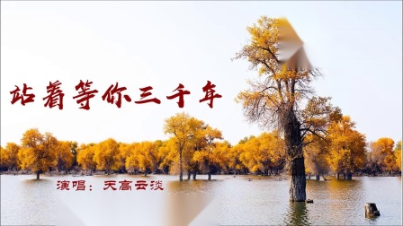 天高云淡猜一生肖，友爱作答落实解释