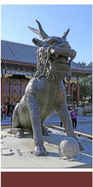 麒麟代表什么生肖，重点诠释解释落实