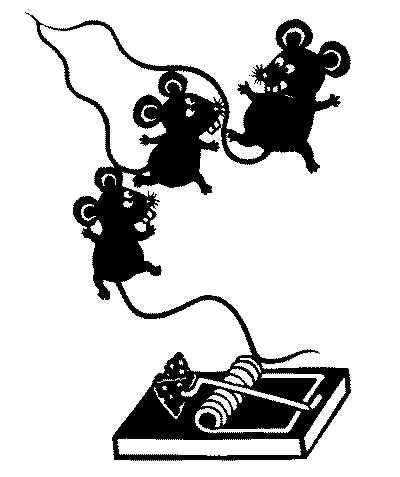 抱头鼠窜猜一最佳生肖，中蕴含的哲理