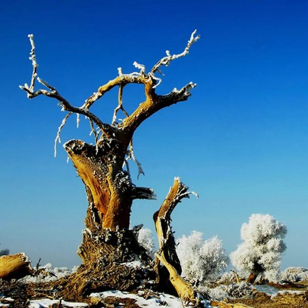 肥田沃地是指什么生肖，奥秘解释落实